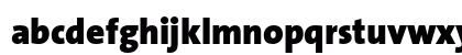 TheSans B9 Black Lowercase Preview