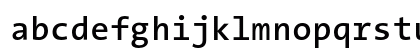 The Sans Mono- Regular Preview