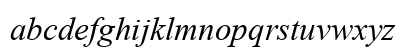 Times New Roman Italic Preview