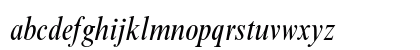 Times New Roman MT Std Condensed Italic Preview
