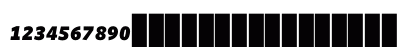 WhitneyNumeric BlackItalic Preview