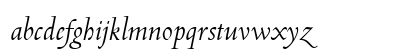 Cambridge Italic Preview