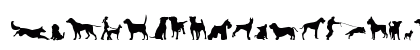 can dog tfb Regular Lowercase Preview
