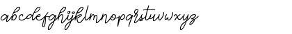 Champagne &amp; Limousines Bold Lowercase Preview