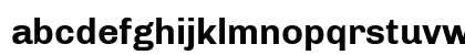 Chivo Bold Lowercase Preview