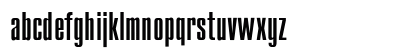 Compact Regular Preview