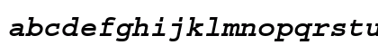 Courier Bold Italic Preview
