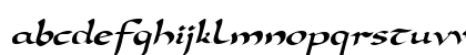 D790-Script Regular Preview