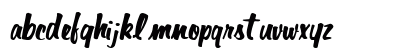 DanaText66 Regular Preview