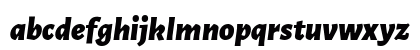 Alegreya Sans Black Italic Preview