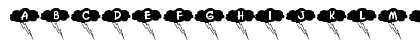 New Regular Preview