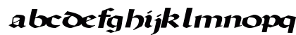 DriscollSSK BoldItalic Lowercase Preview