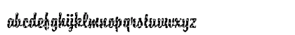 DTCBrodyM15 Regular Preview