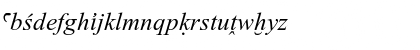 Transliteration Italic Font