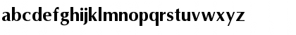 Omni Bold Font