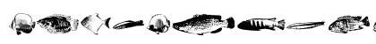 FishyPrint AOE One Preview