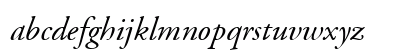 AGaramond LT Italic Preview