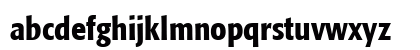 Formata Bold Preview