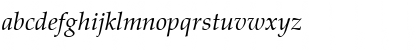 PaltusAntNo3LEE Italic Font