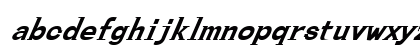 FZ ROMAN 27 ITALIC Normal Preview