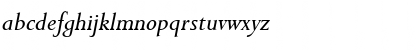 Persistent Italic Font