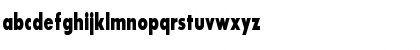 SansSerifExbFLFCond Regular Font