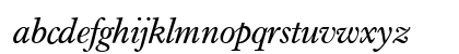 I771-Roman Italic Preview
