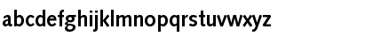 SyntaxDMed Regular Font