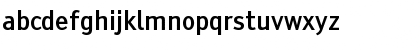 Tiresias PCfont Bold Font