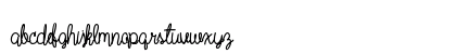 Wild Flower Bold Lowercase Preview