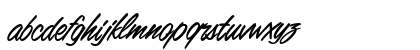 1 Mr Charles DNA Regular Lowercase Preview