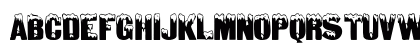 24 Regular Preview