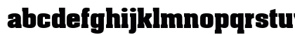 Aardvark Bold Lowercase Preview