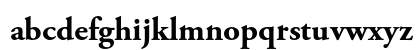 Adobe Garamond Pro Bold Lowercase Preview