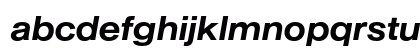AG Book Md Ex Italic Preview