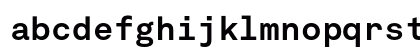 Akkurat Mono Bold Preview