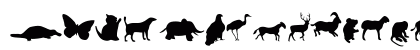 Animals Regular Preview