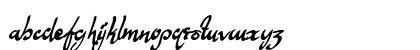 Anything For You Regular Lowercase Preview