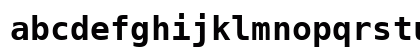 Bitstream Vera Sans Mono Bold Preview
