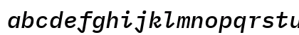 BlexMono NF Italic Lowercase Preview