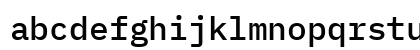 BlexMono NF Regular Lowercase Preview