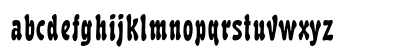 BoutiqueOpti Regular Preview