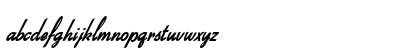 Bow Bold Italic Preview