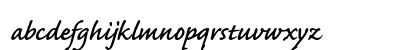 Caflisch Script Pro Semibold Preview