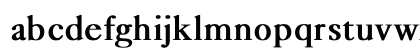 Caslon Bold Lowercase Preview