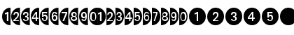 DecoNumbers LH Circle Regular Font