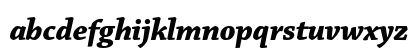 Chaparral Pro Bold Italic Display Preview