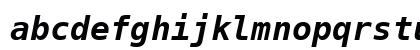 DejaVuSansMono Nerd Font Mono Bold Oblique Preview
