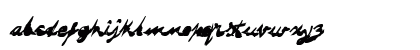 DRAGONFLY DRAGONFLY Lowercase Preview