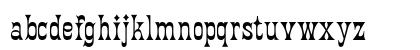 FantailOpti Regular Preview